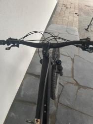 IMG_9119.jpeg