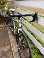 IMG_9548.jpeg
