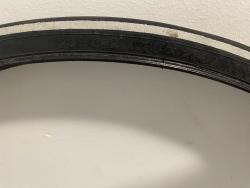 IMG_9695.jpeg
