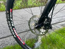 IMG_9795.jpeg