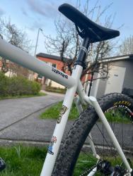 IMG_9797.jpeg