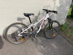 Specialized2.jpg