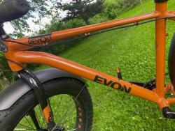 Evon9.jpg