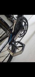 IMG-20250601-WA0014.jpg