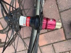 IMG_0194.jpeg