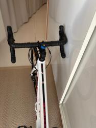 IMG_0286.jpeg
