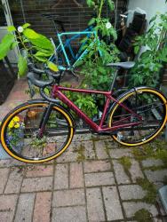 IMG_0375.jpeg