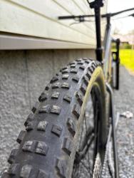 IMG_0610.jpeg