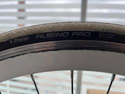 IMG_1243.jpeg