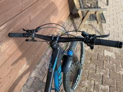 IMG_1295.jpeg