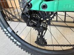 IMG_1306.jpeg