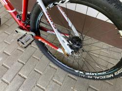 IMG_1470.jpeg