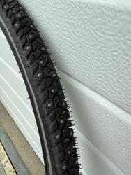 IMG_1491.jpeg