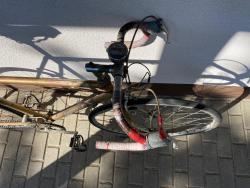 IMG_1558.jpeg