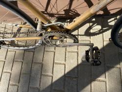 IMG_1559.jpeg