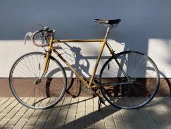 IMG_1563.jpeg