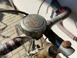 IMG_1564.jpeg