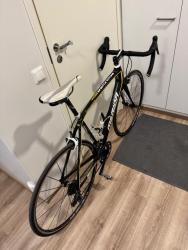 IMG_1565.jpeg