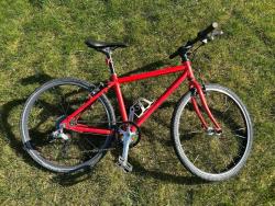 IMG_1793.JPEG