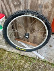 IMG_2104.jpeg