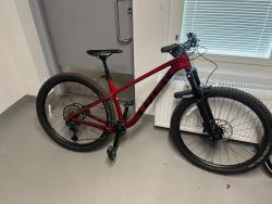 IMG_2220.jpeg