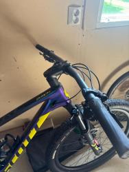 IMG_2291.jpeg
