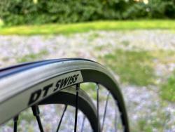 IMG_2295.jpeg