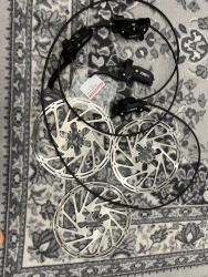 IMG_2310.jpeg