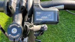IMG_2341.jpeg