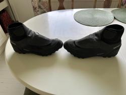 IMG_2534.jpeg