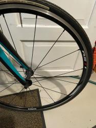 IMG_3183.jpeg