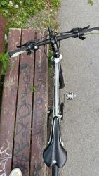 IMG_3343.jpeg