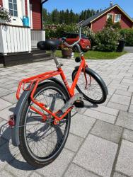 IMG_3575.jpeg