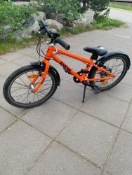 IMG_3599.jpeg