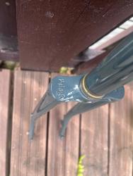 IMG_3695.jpeg