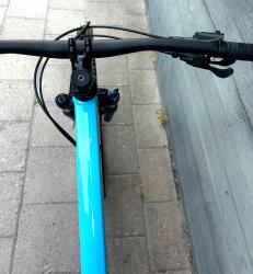 IMG_3727.jpeg