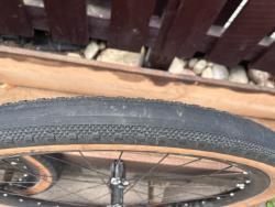 IMG_3773.jpeg