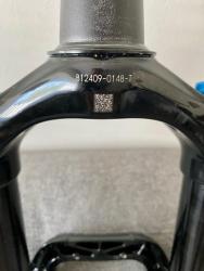 IMG_3865.jpeg