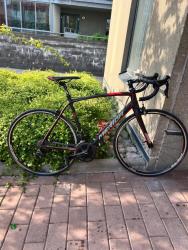 IMG_4038.jpeg