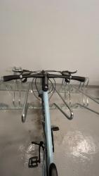 IMG_4221.jpeg