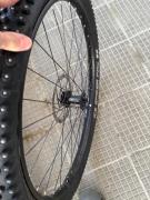 IMG_4244.jpeg