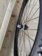 IMG_4245.jpeg