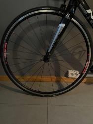 IMG_4631.jpeg