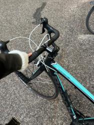 IMG_4826.jpeg