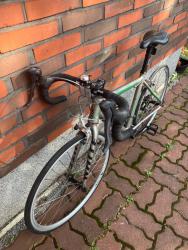 IMG_5215.jpeg