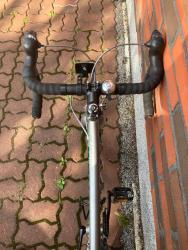 IMG_5217.jpeg