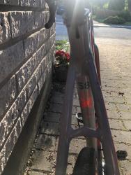 IMG_5684.jpeg