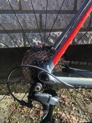 IMG_5685.jpeg