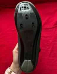 IMG_6196.jpeg