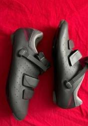 IMG_6201.jpeg
